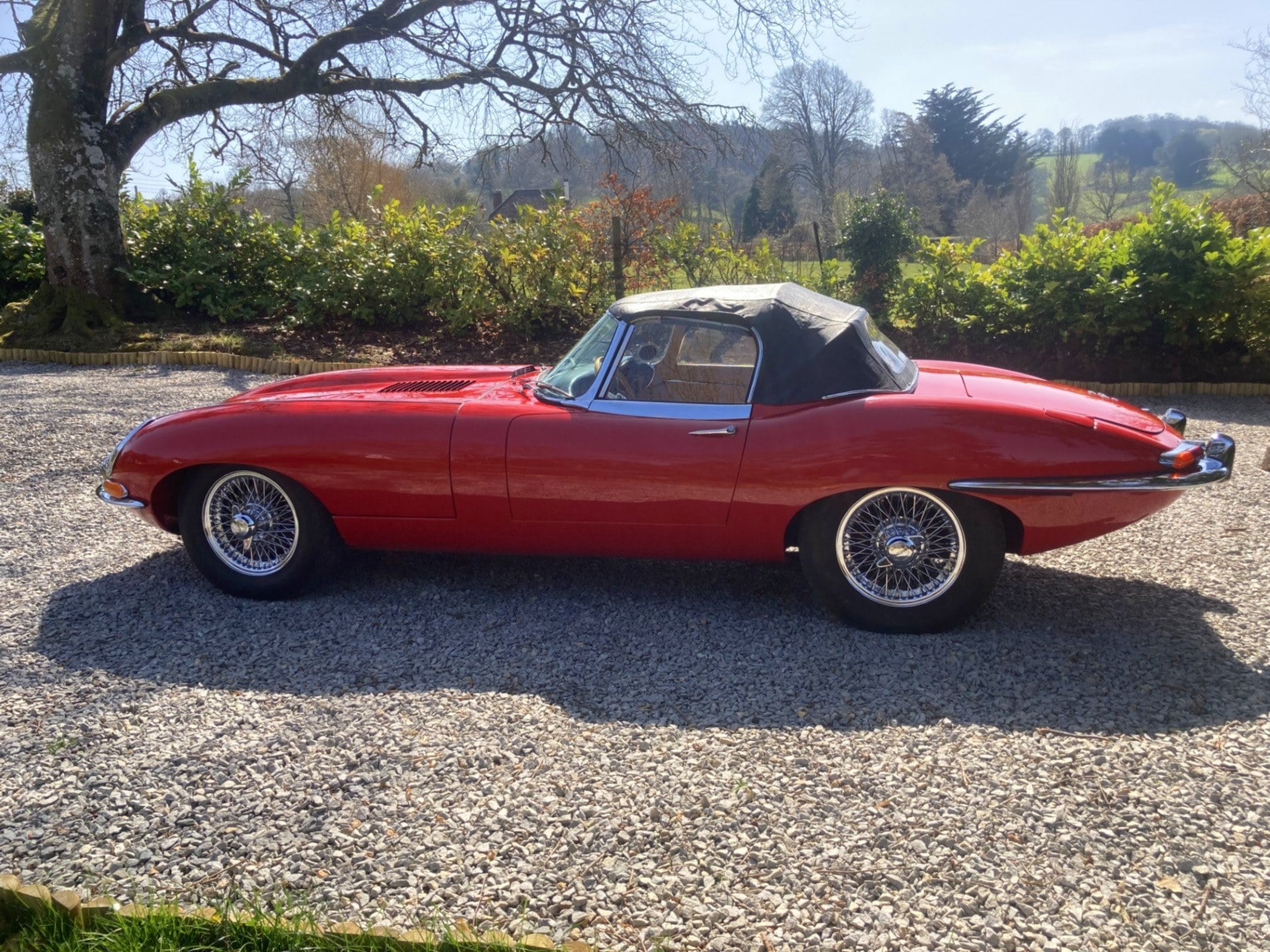 1966 Jaguar E-Type Series 1 OTS LHD, foto 4