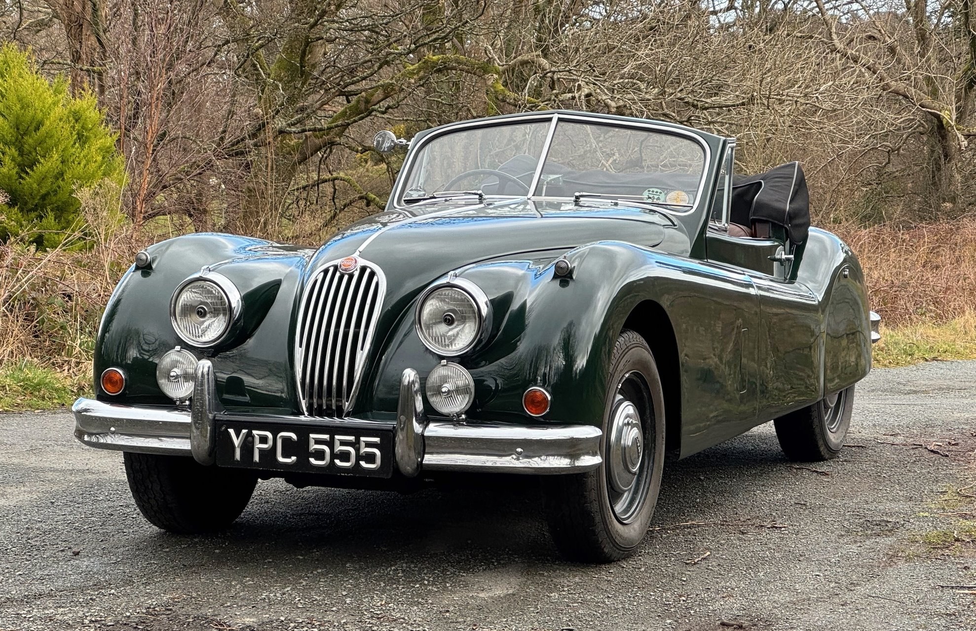 1955 Jaguar XK140 DHC, foto 1