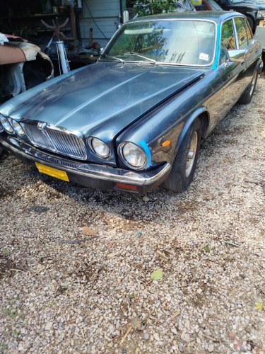 JAGUAR XJ6 - 1981 A vendre