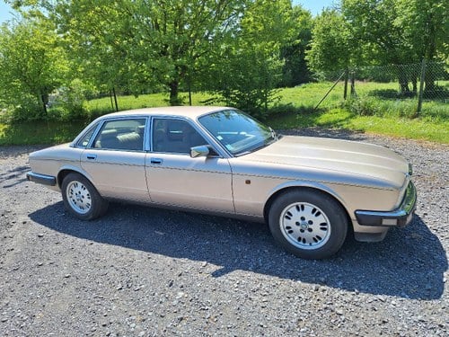1991 JAGUAR XJ40 Kaufen Bei