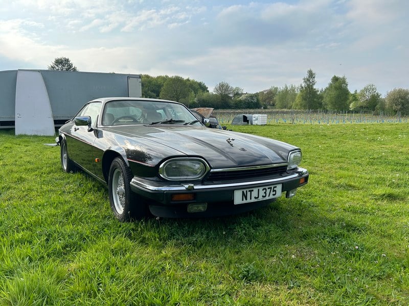 Rapid Classics: Eine Suche. Alle Oldtimer. 31 » Rapid Classics: Eine Suche. Alle Oldtimer. 1991 Jaguar XJS