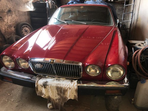 1981 Jaguar XJ XJ12 Series 3 Kaufen Bei