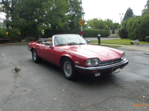 1990 Jaguar XJS V12 Convt Low Miles Nice Driver (St 2697) Kaufen Bei