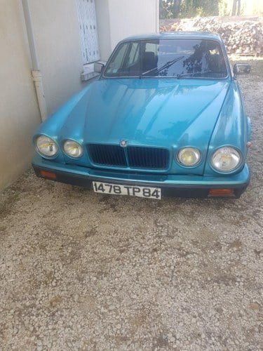 1981 Jaguar XJ XJ6 Series 3 Kaufen Bei