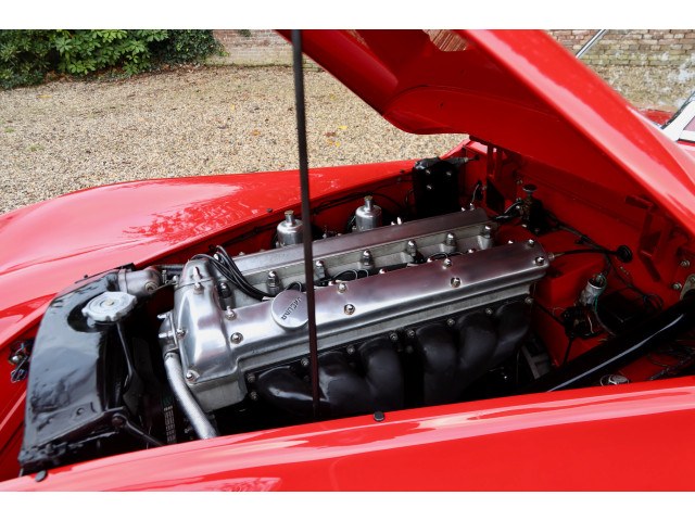 1954 Jaguar XK120 SE OTS Nicely restored, foto 8