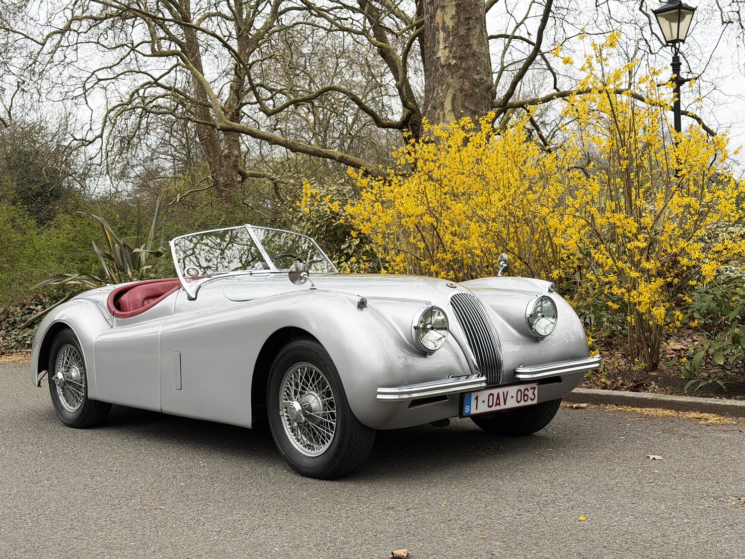 1953 Jaguar XK120 Roadster LHD, foto 2