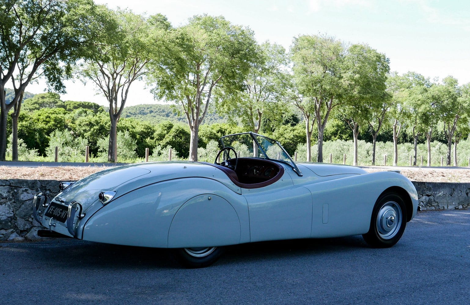 Jaguar XK 120 OTS, foto 3