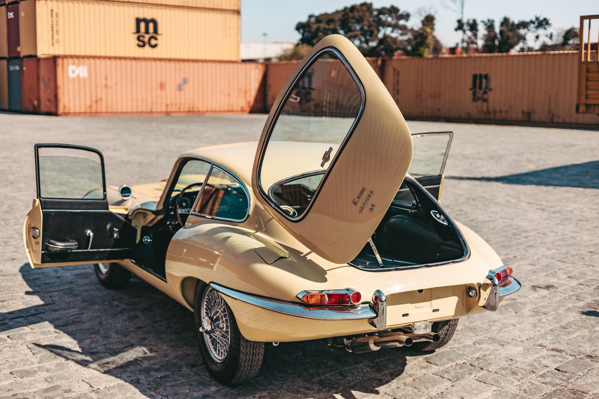 1966 Jaguar E-Type Series 1 FHC, foto 2