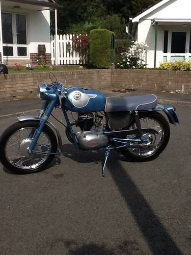 1965 James Sports Captain VENDUTO