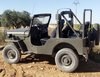 1976 jeep willy  In vendita