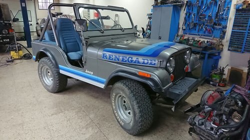 1980 CJ5 Renegade unrestored orig paint collector cond For Sale