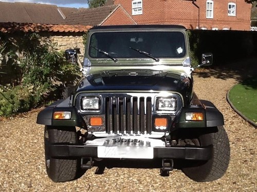 1996 Jeep YJ The best available In vendita