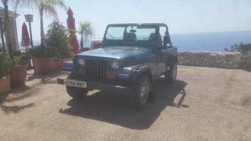 1991 Jeep Wrangler one owner from new For Sale