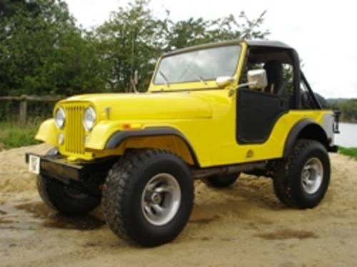 1975 STUNNING PERFORMER SOLD