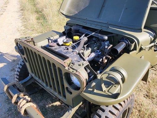 1943 Jeep Willys - 2