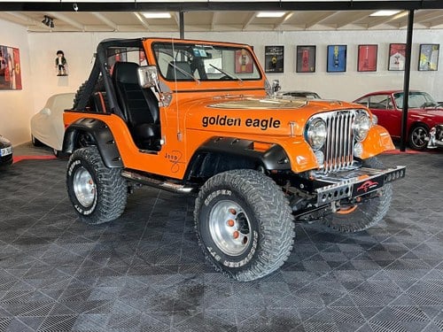 1980 JEEP CJ5 GOLDEN EAGLE HEAVY DUTY Kaufen Bei