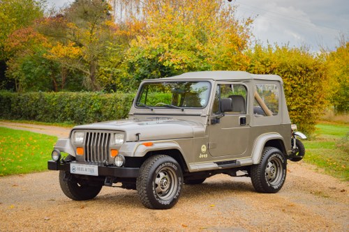 1990 Jeep Wrangler Sahara YJ 4.0L Petrol Manual VENDUTO