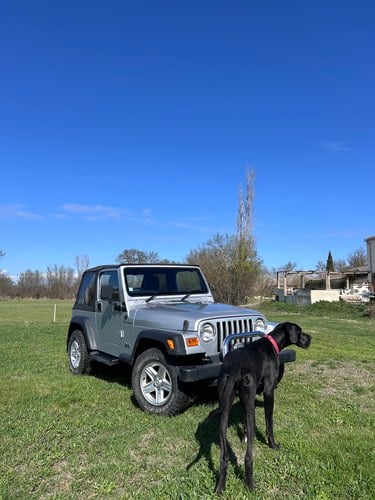 2002 Jeep Wrangler Convertible