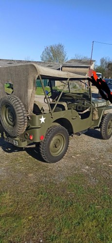 1943 Jeep M38A1 Te koop