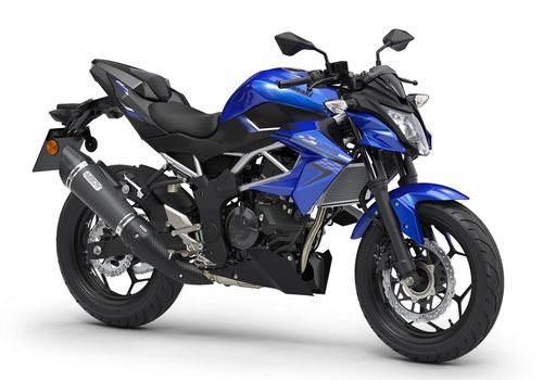 New 2019 Kawasaki Z 125 Performance Edition*SAVE £750* For Sale