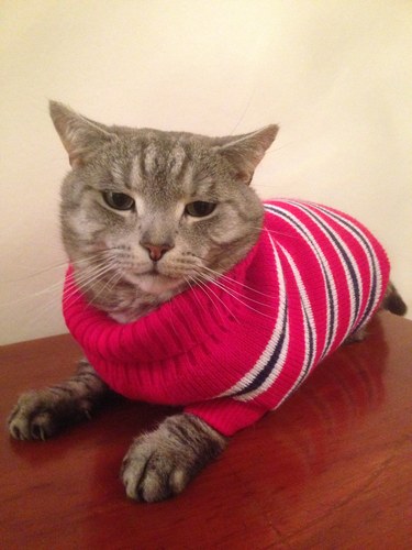 1977 Kawasaki Z400 Kaufen Bei