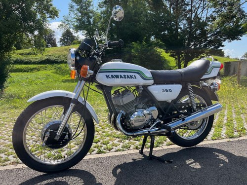 1972 Kawasaki S1 Kaufen Bei