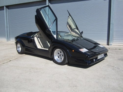 1989 Lamborghini Countach In vendita