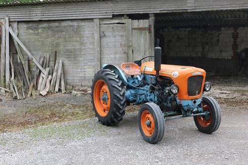 1965 LAMBORGHINI 2R 3 CYLINDER DIESEL TRACTOR For Sale