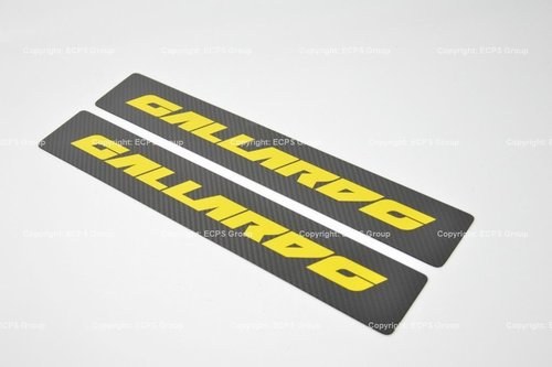 Lamborghini Gallardo  kickplate side sill member panel cover In vendita