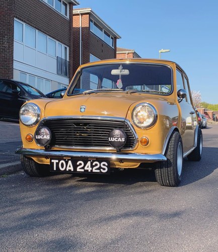 1977 Mini 1000 Immaculate For Sale
