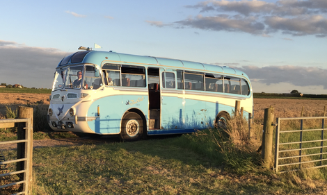 Picture of 1952 Leyland Royal Tiger  41-Seater Coach – “Blue Bird” For Sale
