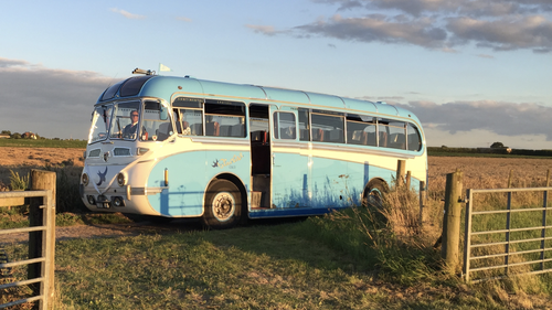 Picture of 1952 Leyland Royal Tiger  41-Seater Coach – “Blue Bird” - For Sale