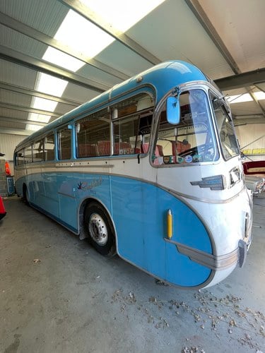 1952 Leyland Bus - 5