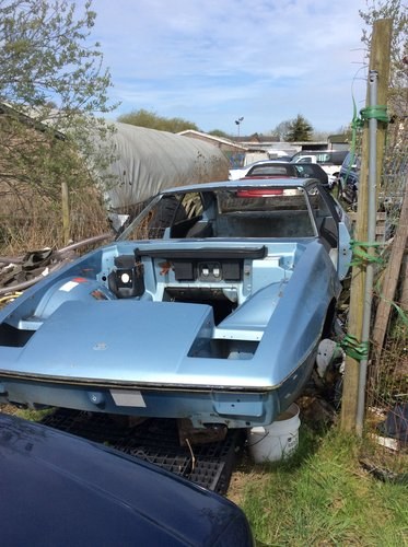 1970 Body shell Lotus Excel with chassis good condition For Sale