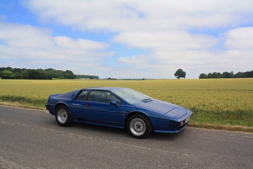 1987 Lotus Esprit Turbo HC Limited Edition No.10 of 21. The Best In vendita