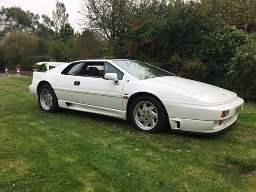 1993 LOTUS ESPRIT TURBO SE “HIGH WING” For Sale