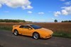 Lotus Esprit Turbo V8, 1996.  Norfolk Mustard. In vendita