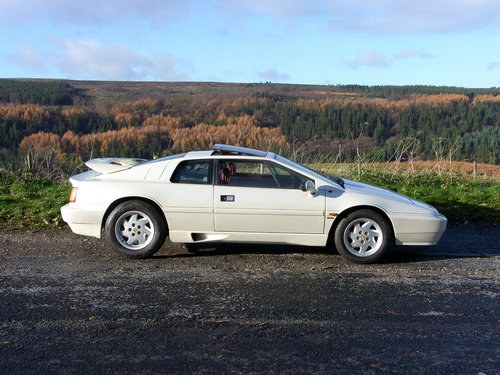 1989 Lotus Esprit Turbo SOLD