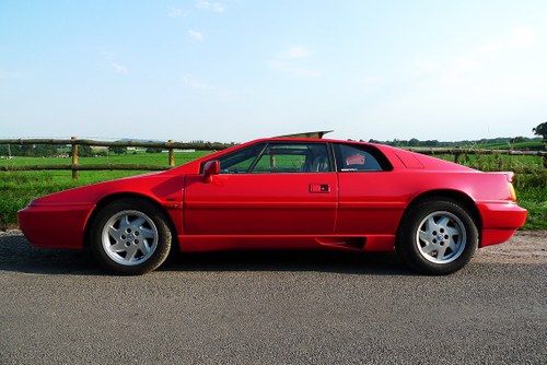 1988 Lotus esprit - 1 of 268 ever made - stunning car For Sale