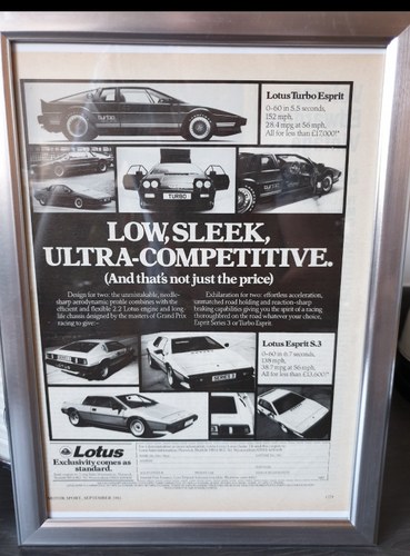 1981 Original Lotus Turbo Esprit advert For Sale