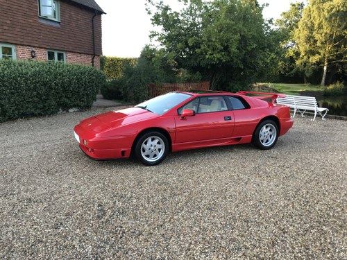 1991 *NOW SOLD* Lotus Esprit turbo se High Wing SOLD