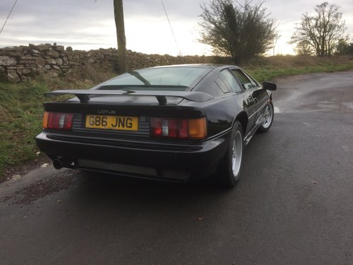 1989 Lotus esprit se turbo charged cooled For Sale