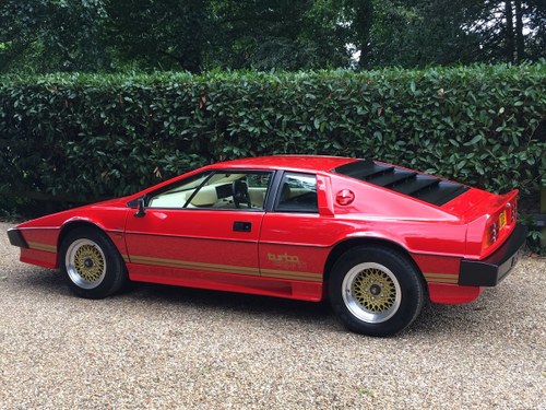 1982 Lotus Turbo Esprit *fully restored* For Sale