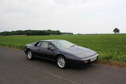 Lotus Esprit N/A, 1988.   Stunning example. Steel Blue For Sale