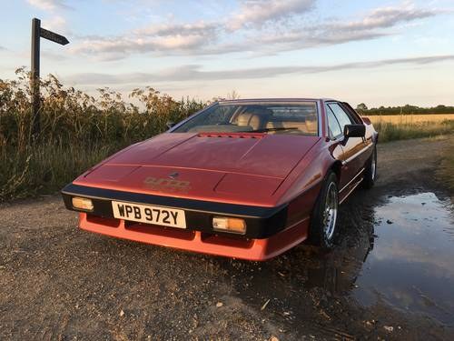 1982 Copper Fire Esprit Turbo with Compomotives SOLD