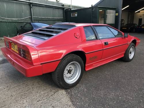 1985 Lotus Esprit turbo Unfinished project  SOLD