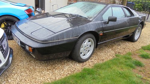 Picture of 1988 Lotus Esprit Turbo - For Sale