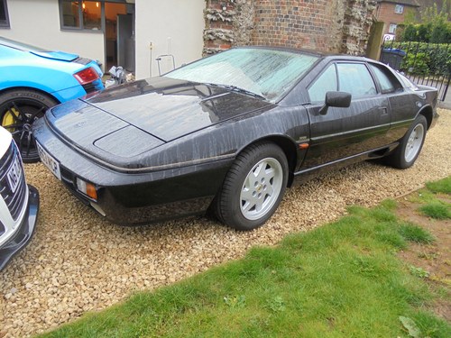 1988 Lotus Esprit Turbo