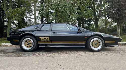 Picture of 1981 LOTUS ESPRIT TURBO DRY SUMP - For Sale