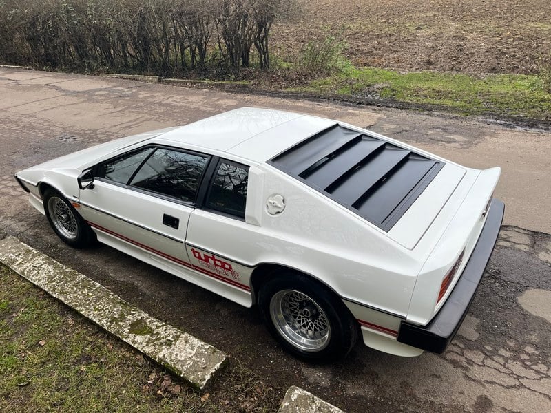 1981 Lotus Esprit - 7